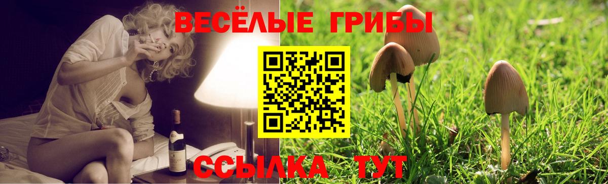 купить  цена  Вход с VPN  Кропоткин  Галлюциногенные грибы GOLDEN TEACHER  Псилоцибиновые грибы GOLDEN TEACHER 